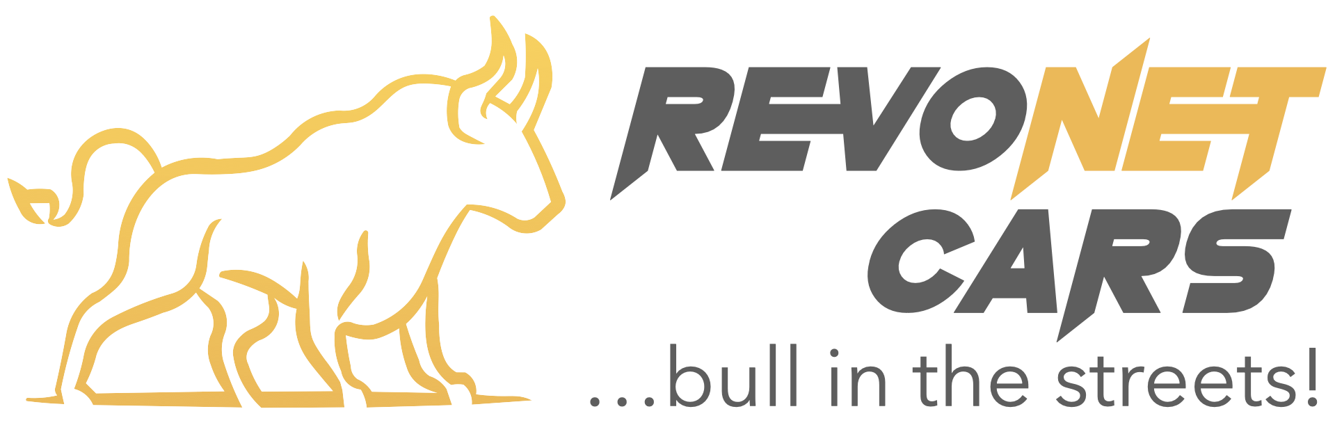 Revonet Holding SE